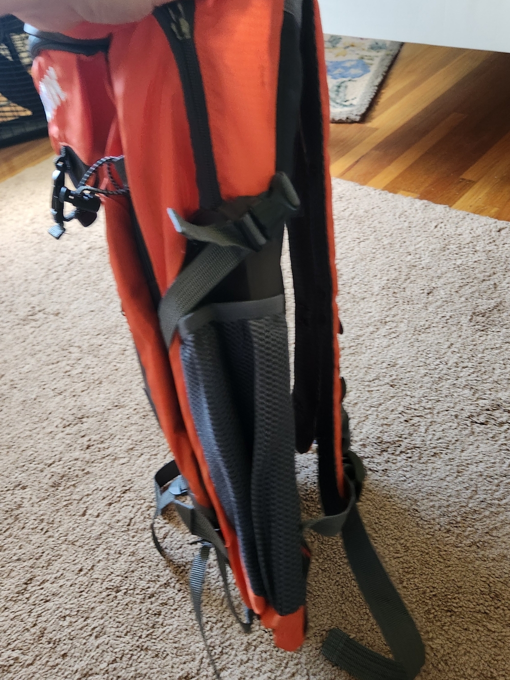 Dunkin Limited Edition orange Backpack Lightweight Collectible + Sunglasses! New - Picture 10 of 10
